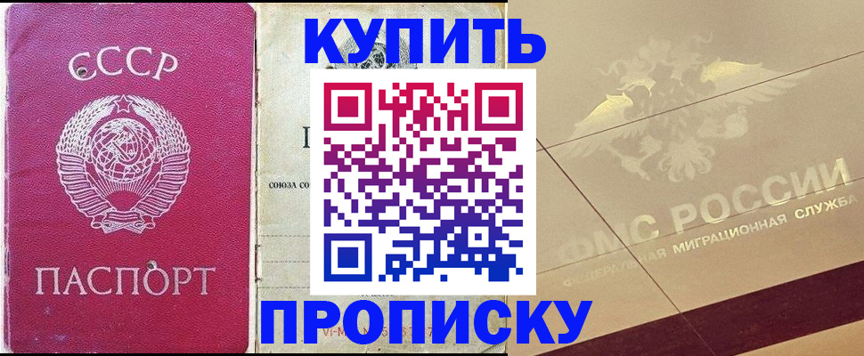 прописка для школы в Ленинградской области